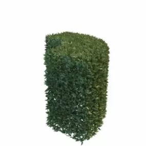 Garden Hedge Trimmed Bush 3d model