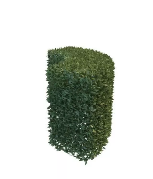 Horizontal Hedges 3d model