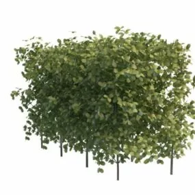 Green Hedges For Garden 3d model