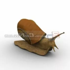 Animal Helix Snail 3d model