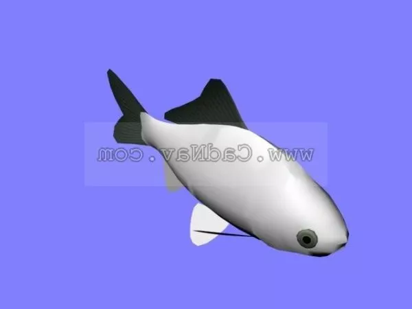 Orange Lined Cardinalfish Fish 3d model