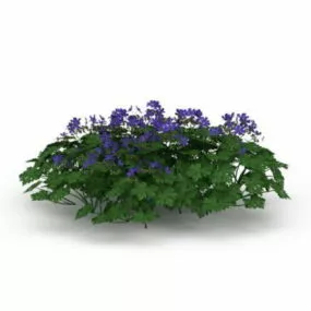 Outdoor Herb Plant 3d model