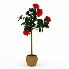 Hibiscus Flower Silk Tree Pot 3d model