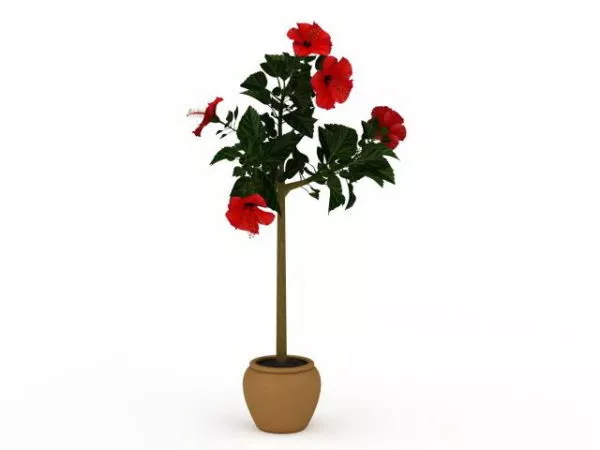 Hibiscus Flower Silk Tree Pot 3d model Hibiscus Flower Silk Tree Pot 3d model