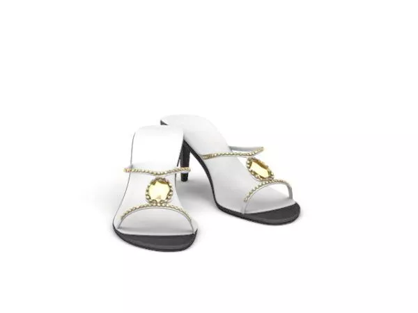 Beach Slippers 3d model