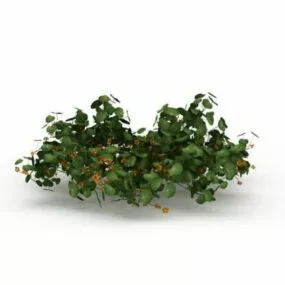 Garden Honeysuckle Plant Flower 3d model