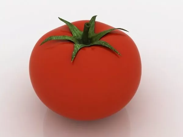 Fresh Hothouse Tomato 3d model Fresh Hothouse Tomato 3d model