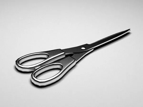 Kitchen Household Scissors 3d model Kitchen Household Scissors 3d model