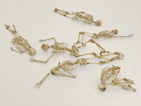 Human Skeletons Pack 3d model Human Skeletons Pack 3d model