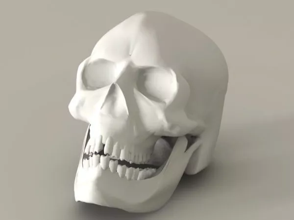 Portable Xray Machine 3d model