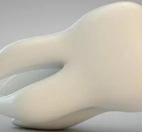 Realistic Human Teeth Bone 3d model
