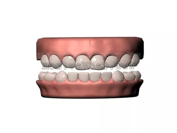 Arm Bone 3d model