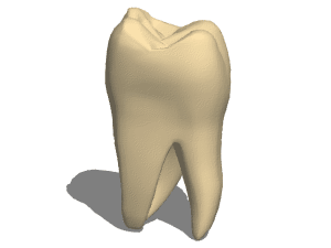 Bag Valve Mask 3d model
