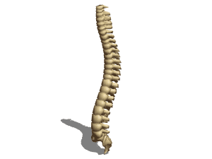 Construction Column Base Part 3d model