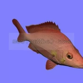 Animal Hump Back Fish 3d model