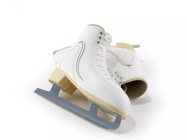 Skate Spacecraft 3d model