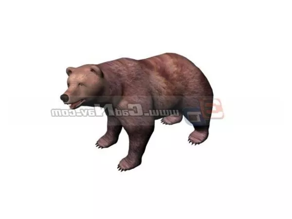 Realistic Bear Walking 3d model