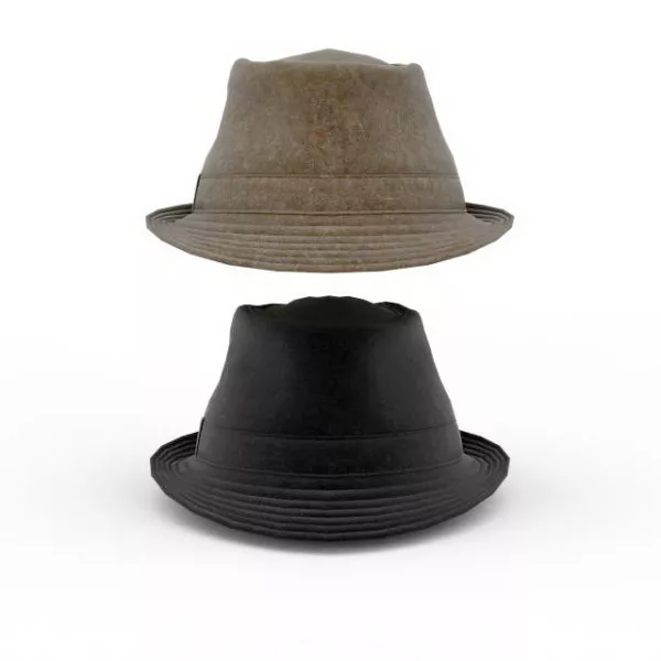 Sombrero Vintage Hat 3d model