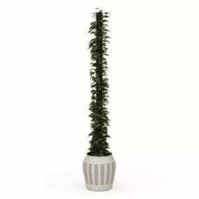 Indoor Garden Climbing Ivy Plants 3d model