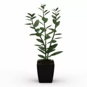 Office Indoor House Plant Pot 3d model