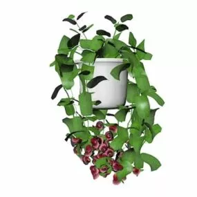 Indoor Pot Vine Plant 3d model