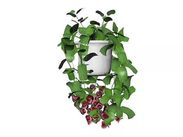 Indoor Pot Vine Plant 3d model Indoor Pot Vine Plant 3d model