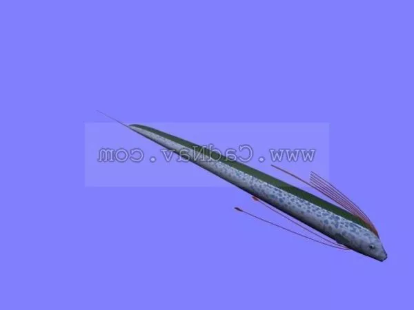 Low Poly Cartoon Plesiosaur 3d model