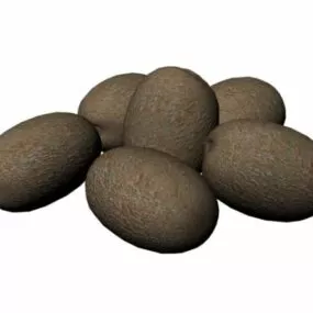 Fresh Kiwi Fruit 3d model