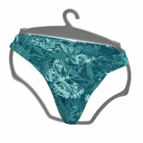 Women Lace Tanga Panty 3d model