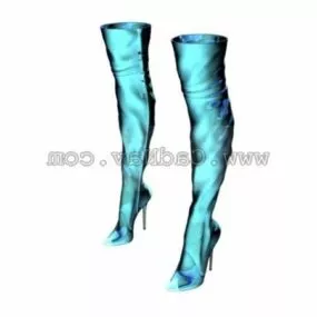Lady High Heel Leather Boots 3d model