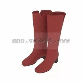 Ladies Fashion Knee Boots 3d model