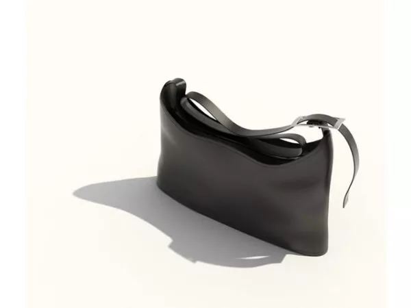 Ladies Handbag 3d model