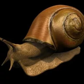 Animal Land Snail 3d model