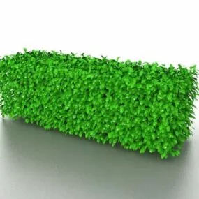 Landscape Garden Green Hedges 3d model