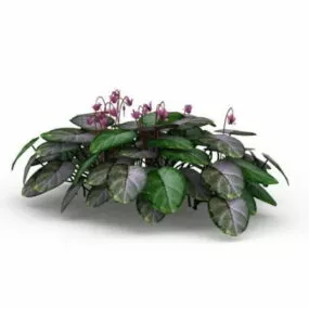 Outdoor Landscaping Flowers 3d model