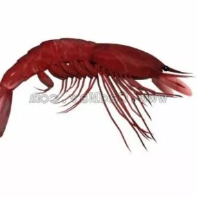 Wild Large Prawn Animal 3d model
