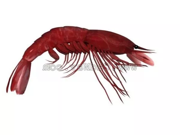 Deep Ocean Monster Fish 3d model
