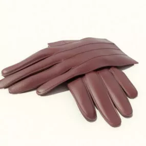 Kitchen Leather Gloves 3d model
