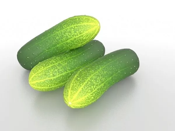 Cabbage Head 3d model