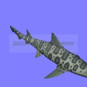 Leopard Shark Animal 3d model