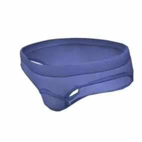 Light Blue Panties Equipment 3d model