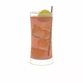Lime Drink With Straw 3d model
