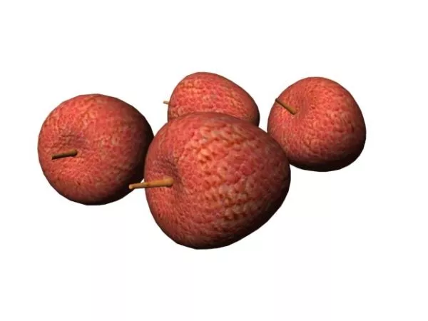Fresh Litchi Lychee Fruit 3d model Fresh Litchi Lychee Fruit 3d model