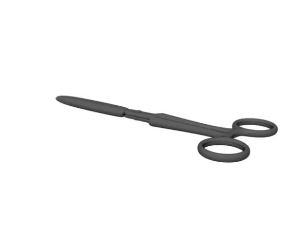 Chinese Ruan Instrument 3d model