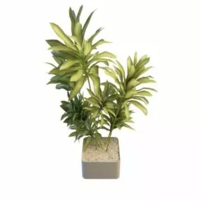 Long Leaf Office Indoor Tree 3d model