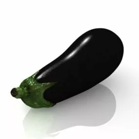 Nature Long Purple Eggplant Vegetable 3d model