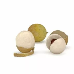 Tropical Longan Fruit 3d model