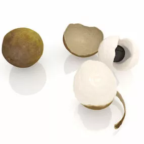 Peeled Longan Fruit 3d model