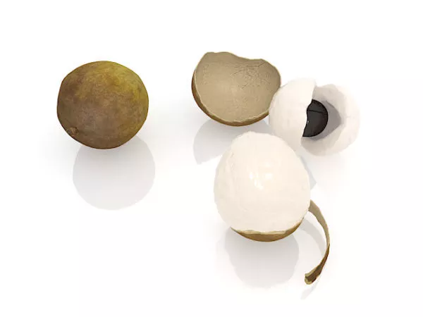 Single Peach Fruit 3d model