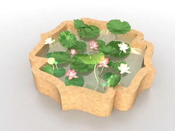 Water Pool With Fountain 3d model